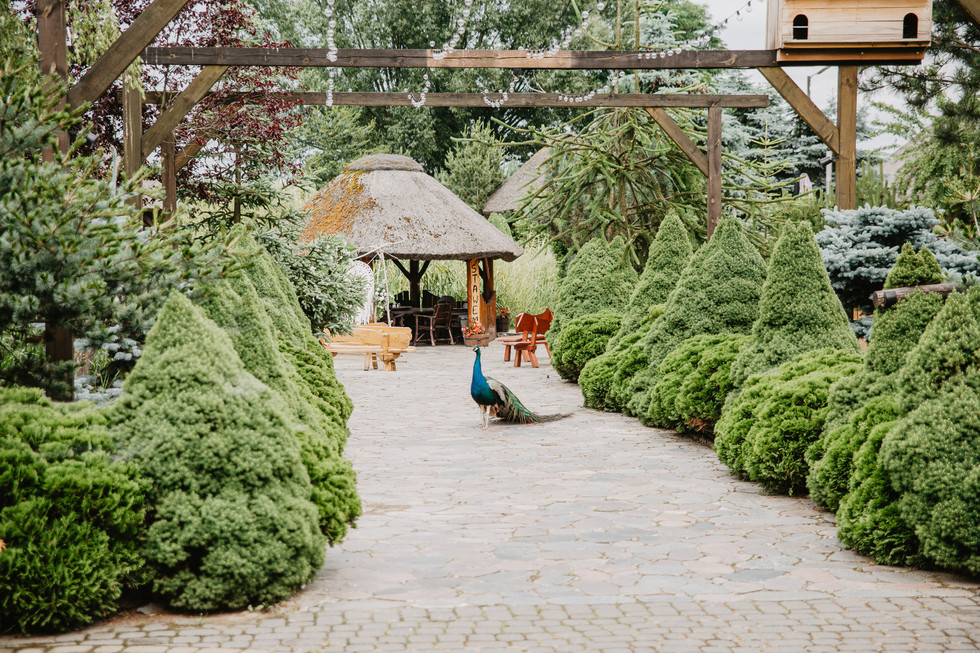 ślub słowiański warszawa, ślub plenerowy, ślub humanistyczny