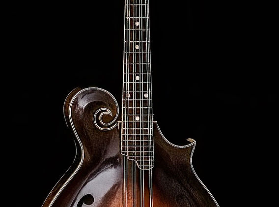 AldmanGuitars-130PS_edited.jpg