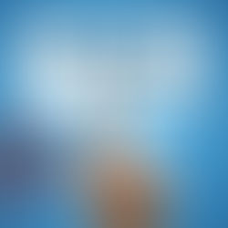 Website Sponsors Wanted