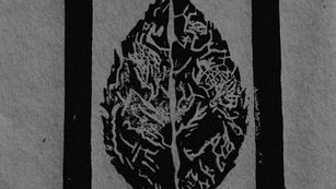Nature as a Collaborator