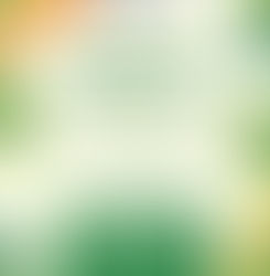 VT Seva North Jersey - Summer Camp 2021