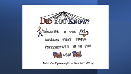 VT Seva Dallas 10th Annual Cancer Walkathon - 2020