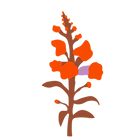 Ícones Flower Club-39.png