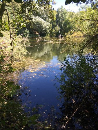 Wildlife Trust Chafford Hundred