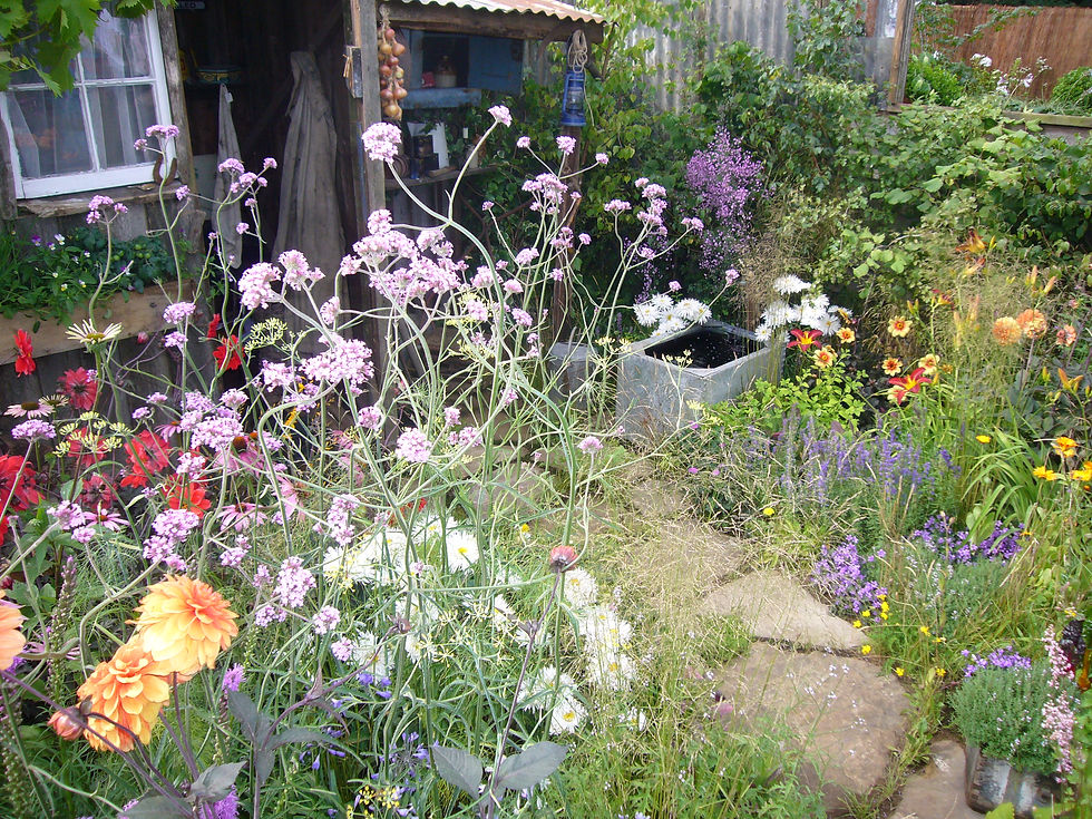 Fen Ben 5 Sandringham Flower Show 08