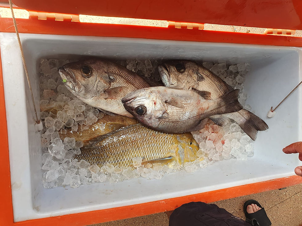 488538119_1238360441625200_8211592255477644152_n