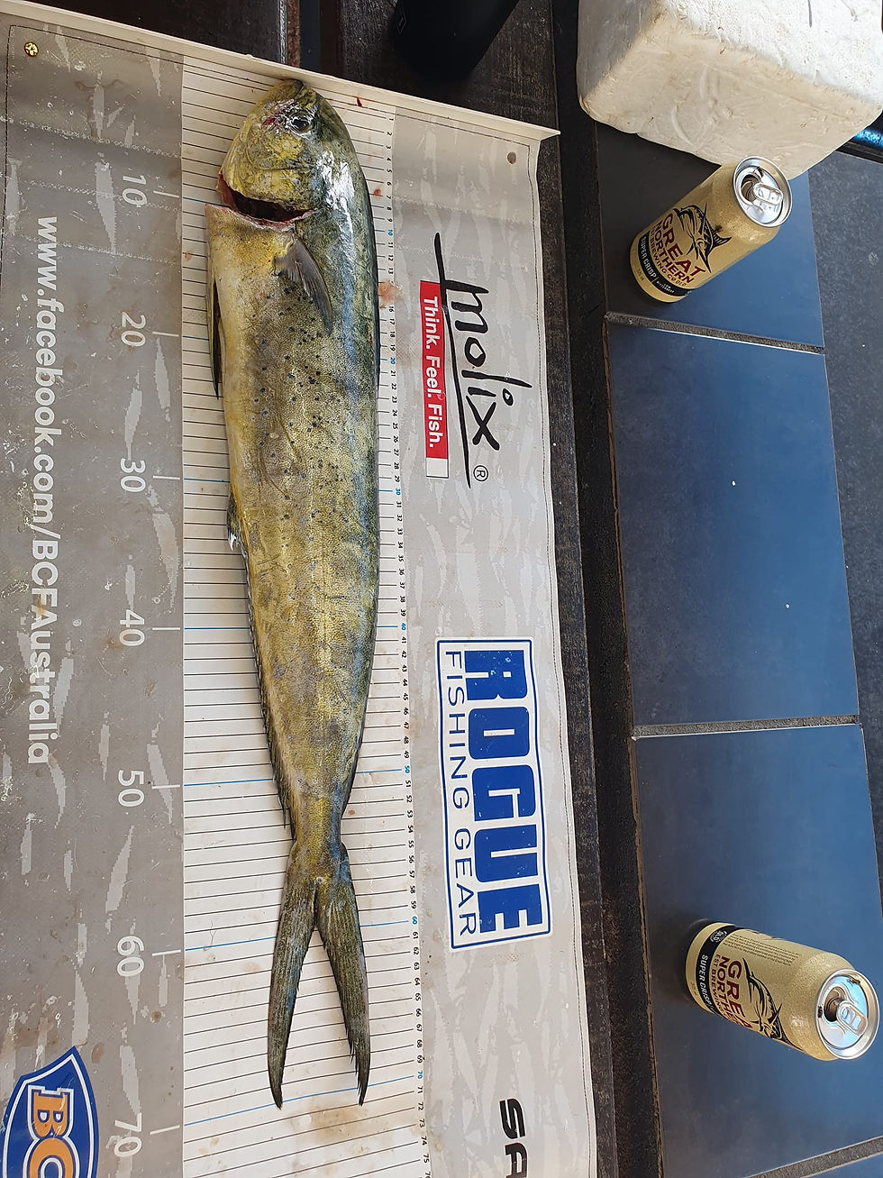 487452445_1238360718291839_7488614322177404661_n