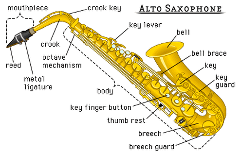 Anatomy of the saxophone.gif