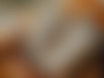 SÓ 8% DOS BRASILEIROS CONSEGUEM INTERPETRAR CORRETAMENTE UM TEXTO