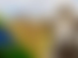 O futuro do agronegócio brasileiro e latino-americano: expansão com adaptação às novas regras internacionais