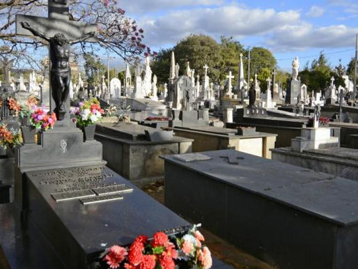 Festa dos Mortos! Governo pagou auxilio emergencial para 135 mil mortos diz CGU 