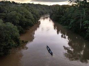 Menina de 2 anos morre depois de ser atacada por piranhas no rio Amazonas