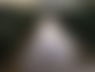 Menina de 2 anos morre depois de ser atacada por piranhas no rio Amazonas