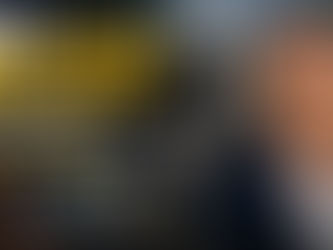 ELEITO, MAS NÃO EMPOSSADO? STF PODE ENFRENTAR UMA QUESTÃO INÉDITA SOBRE FLÁVIO BOLSONARO