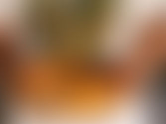 Desde 2023, mais de 14 milhões de pessoas saíram da pobreza no Brasil