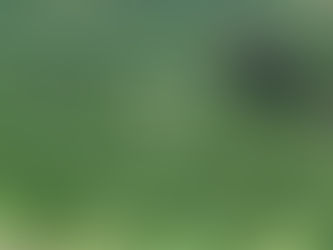 Banco do Agricultor Paranaense já financiou R$ 646 milhões em 4.180 projetos