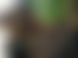 Indígenas da Amazônia processam New York Times por insinuar vício da aldeia em pornografia