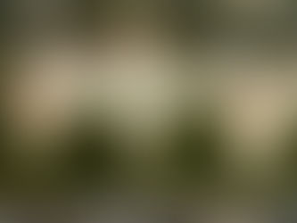 Assaltantes roubam laboratório da USP durante virada de ano