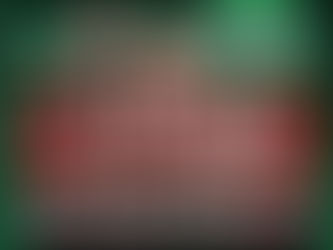  A ESTABILIDADE E UM TÉCNICO DE VERDADE