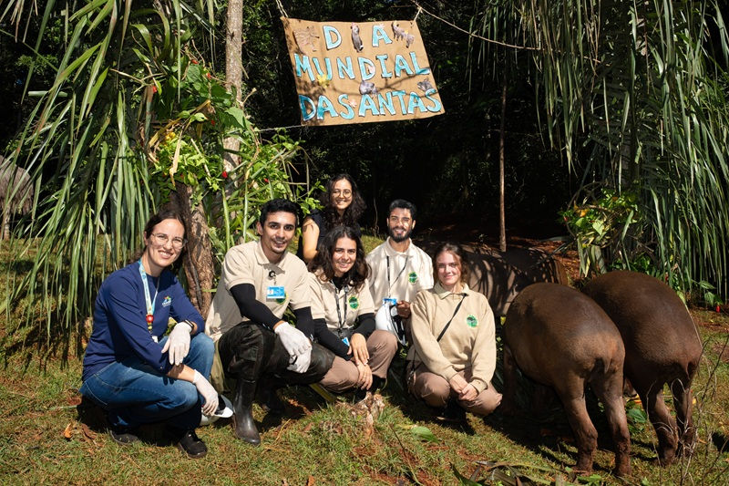 Dia Mundial da Anta: memória de elefante e papel de gigante na natureza