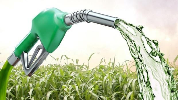 Preço do etanol cai em 13 Estados e no DF, sobe em 5 e fica estável em 8, afirma ANP