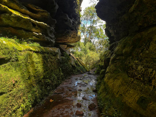 Governo recebe neste mês as propostas da concessão do Parque Estadual do Guartelá