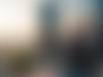 EMPRESAS FAMILIARES E O CAMINHO PARA O SUCESSO