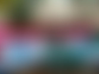 Toledo se destaca em Mostra de Ciências e Tecnologia no RJ