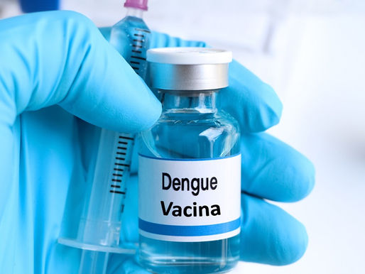 Dengue: produção nacional e dose única são vantagens da nova vacina