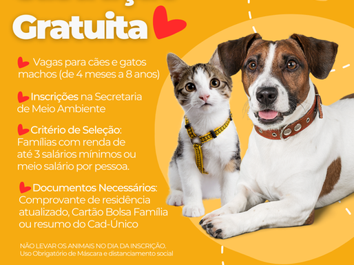 CASTRAPET DA SEDEST VAI ESTERILIZAR CÃES E GATOS GRATUITAMENTE EM CIANORTE