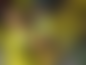 Neymar tem prazo para escapar de corte na Seleção; veja a data