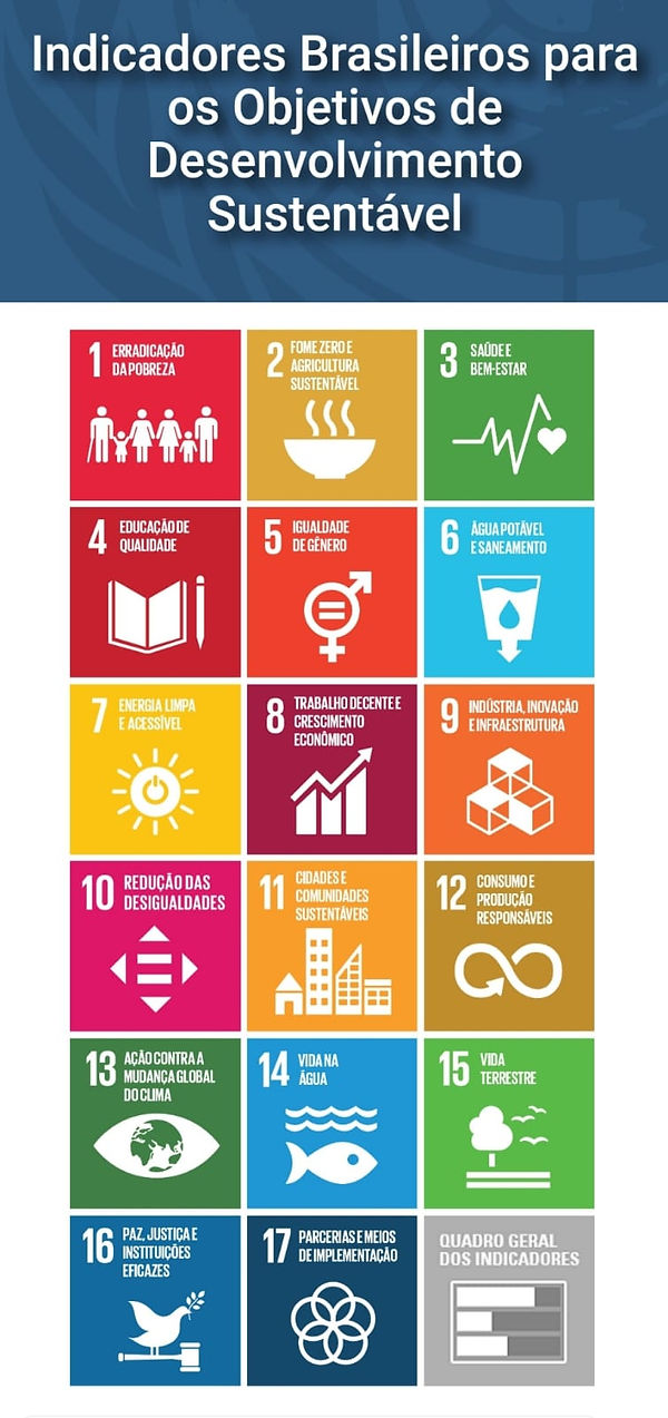 WhatsApp Image 2021-08-02 at 17.03.48.jpeg