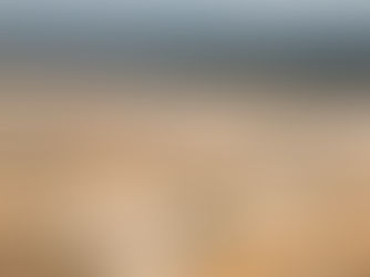 Emmanuel Macron elogia Lula pela defesa da Amazônia