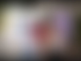 A Verdade que Liberta