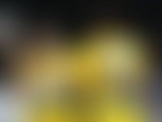 Hypo NÖ weiterhin souverän - Erfolgslauf von Tulln und Korneuburg gestoppt