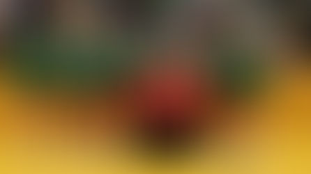 Atzgersdorf zieht mit Hypo gleich - Eggenburg holt sich den Titel!