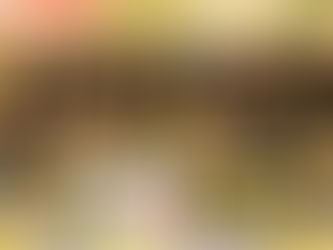 WHA CHALLENGE 2025/26 in Zahlen: Tore, Heimstärke und starke Defensiven