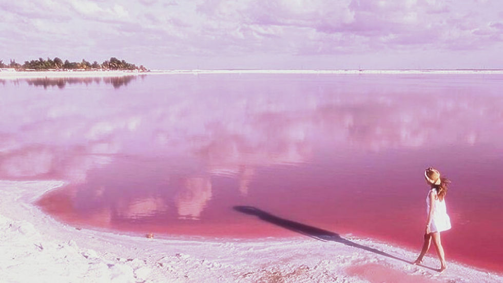 Tour Las Coloradas