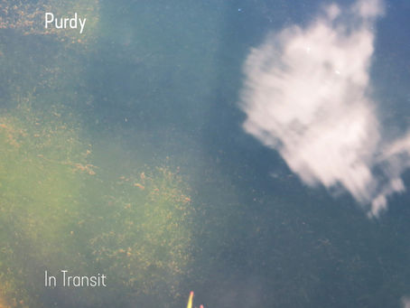 PURDY – IN TRANSIT: REVIEW