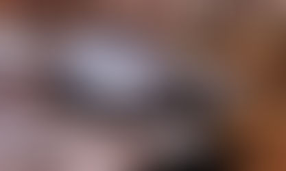 TERRAPIN: A PLAYLIST