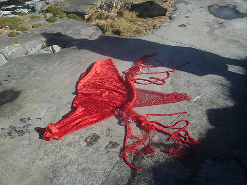 P1030463 (Large).JPG