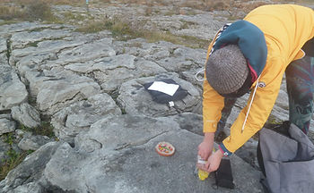 P1010705 (Large).JPG