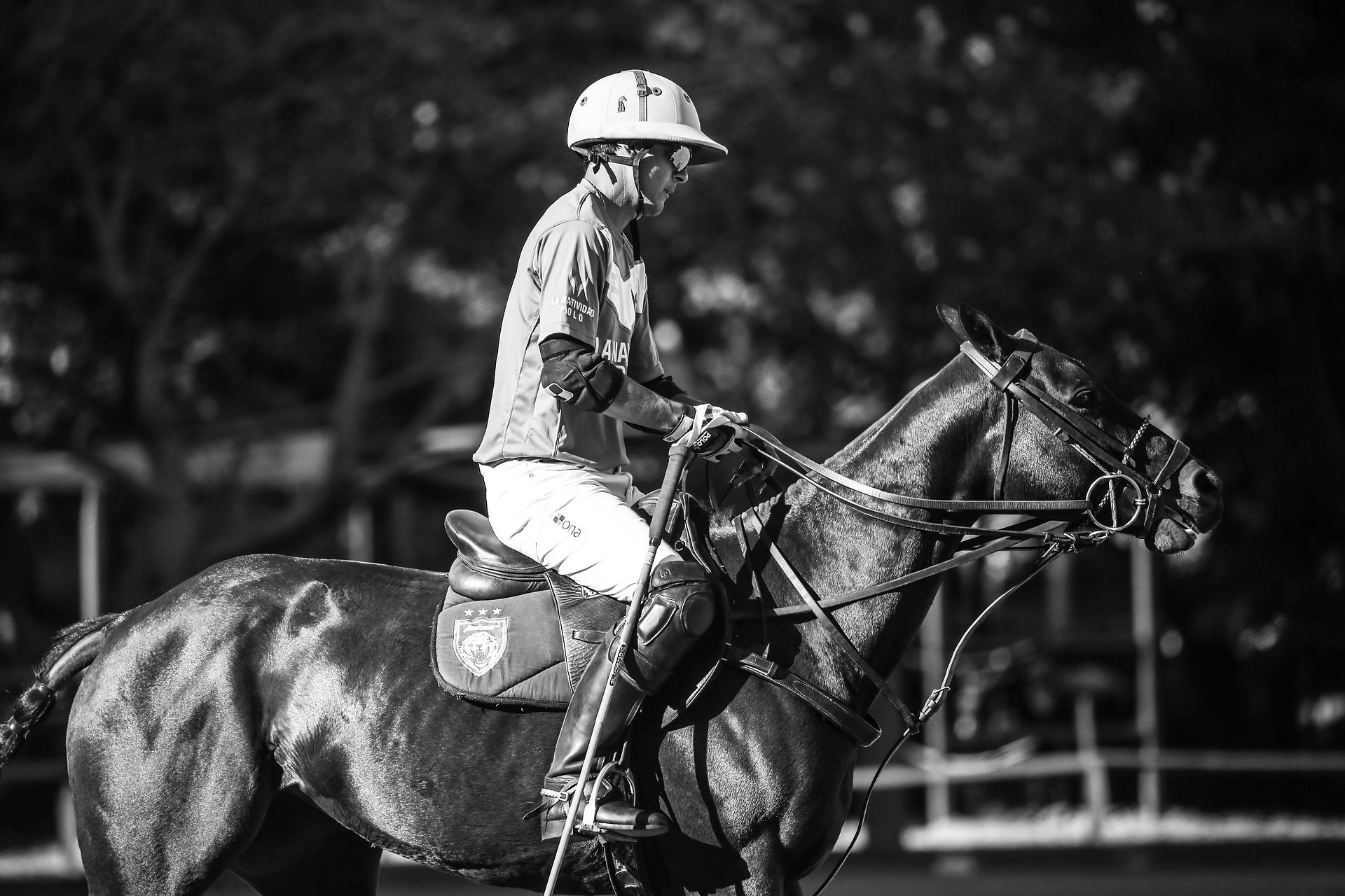 CopaRepublica2019-PrensaPolo-OliJauretch