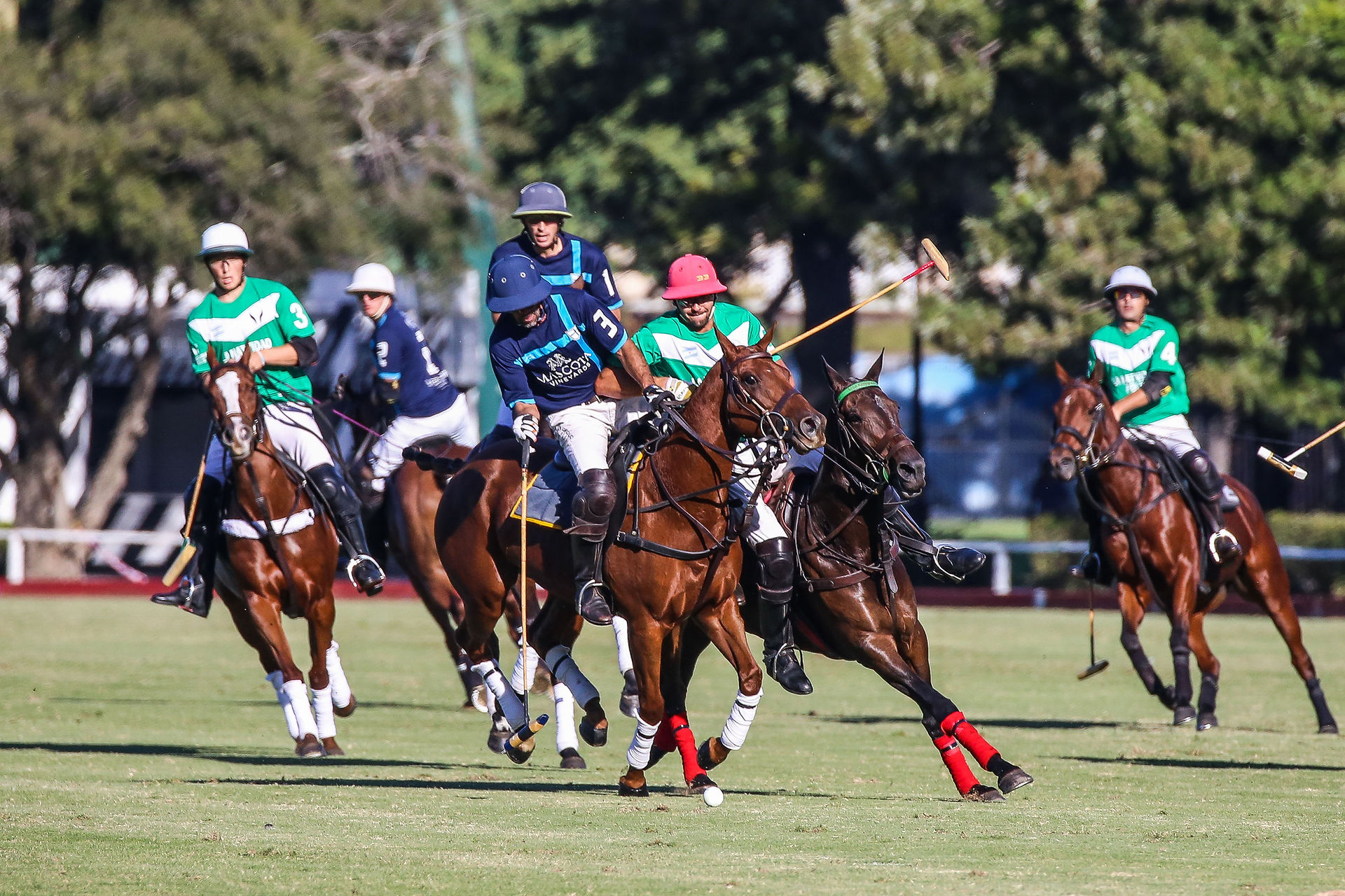 CopaRepublica2019-PrensaPolo-OliJauretch