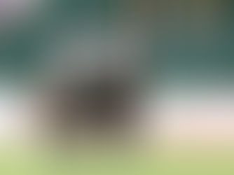 Cría La Dolfina superó a Ellerstina y metió presión en la zona