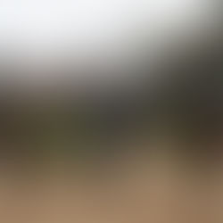 Grandes campeones de la Rural 2022