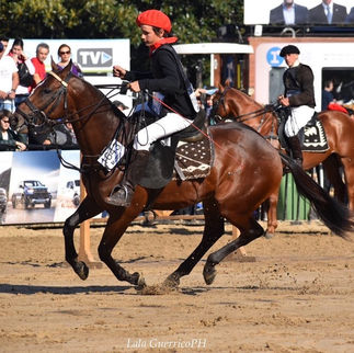 La Rural 2022: cronograma de polo completo!
