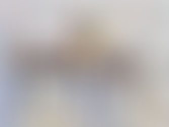 Todo #PALERMO2016 para La Dolfina