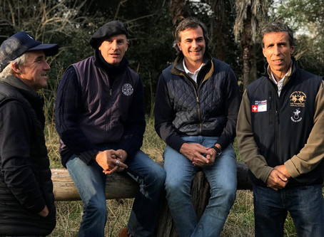 Polo4Pro, la primera generación de instructores de polo certificados