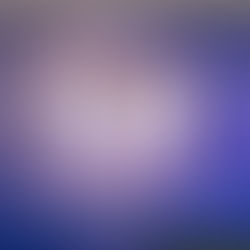 Ankora dominó en la Copa La Dolfina Polo Ranch